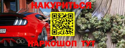 шишки Гагарин